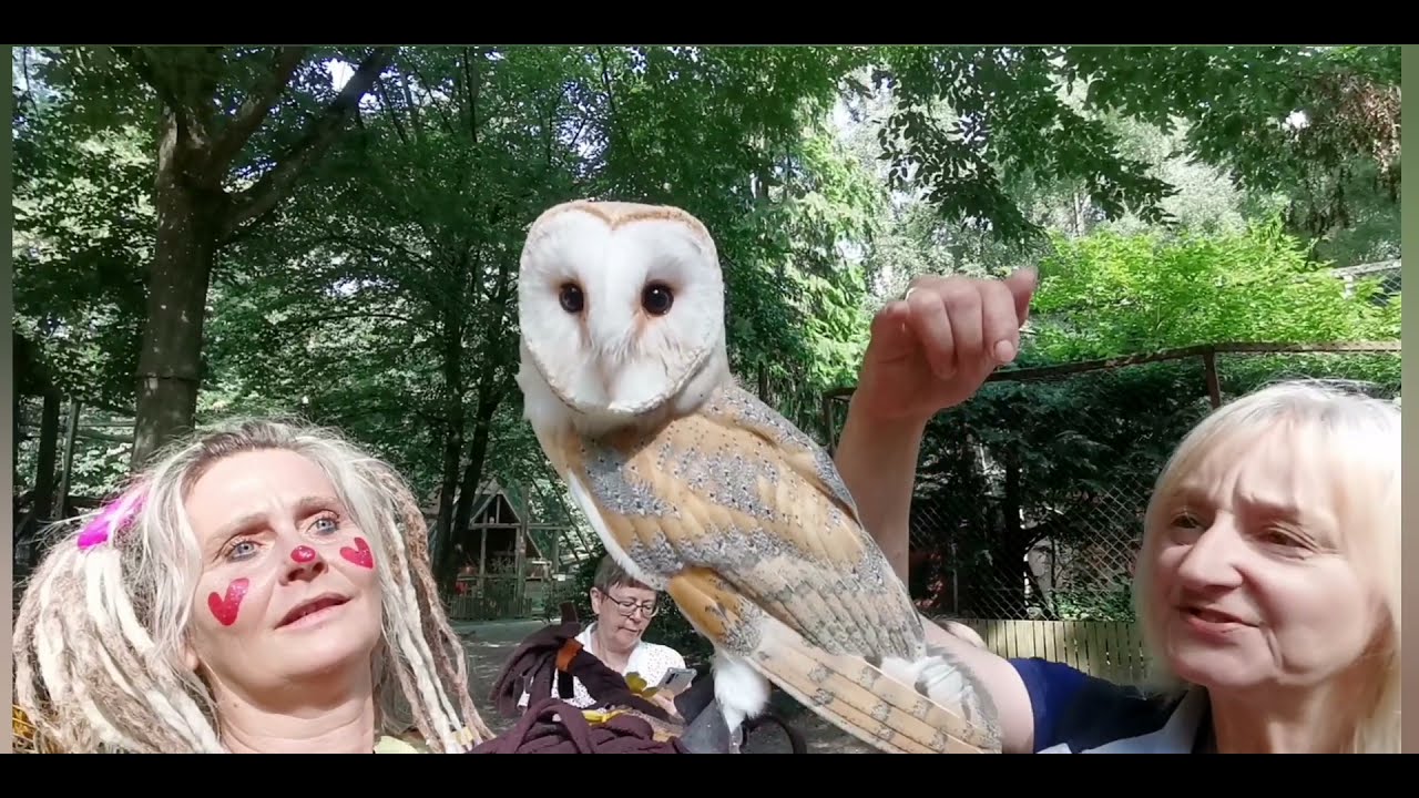 Vogelpark Abensberg 1. Teil. Lernen mit Monique Sonnenschein