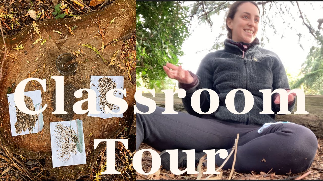Outdoor Educator Day in the Life: Forest Preschool Tour  and how I setup an Outdoor Classroom