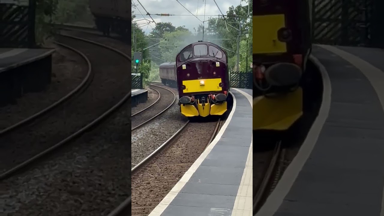 37516,45562 siera leone and 35018 British India line on there way to the greatest gathering