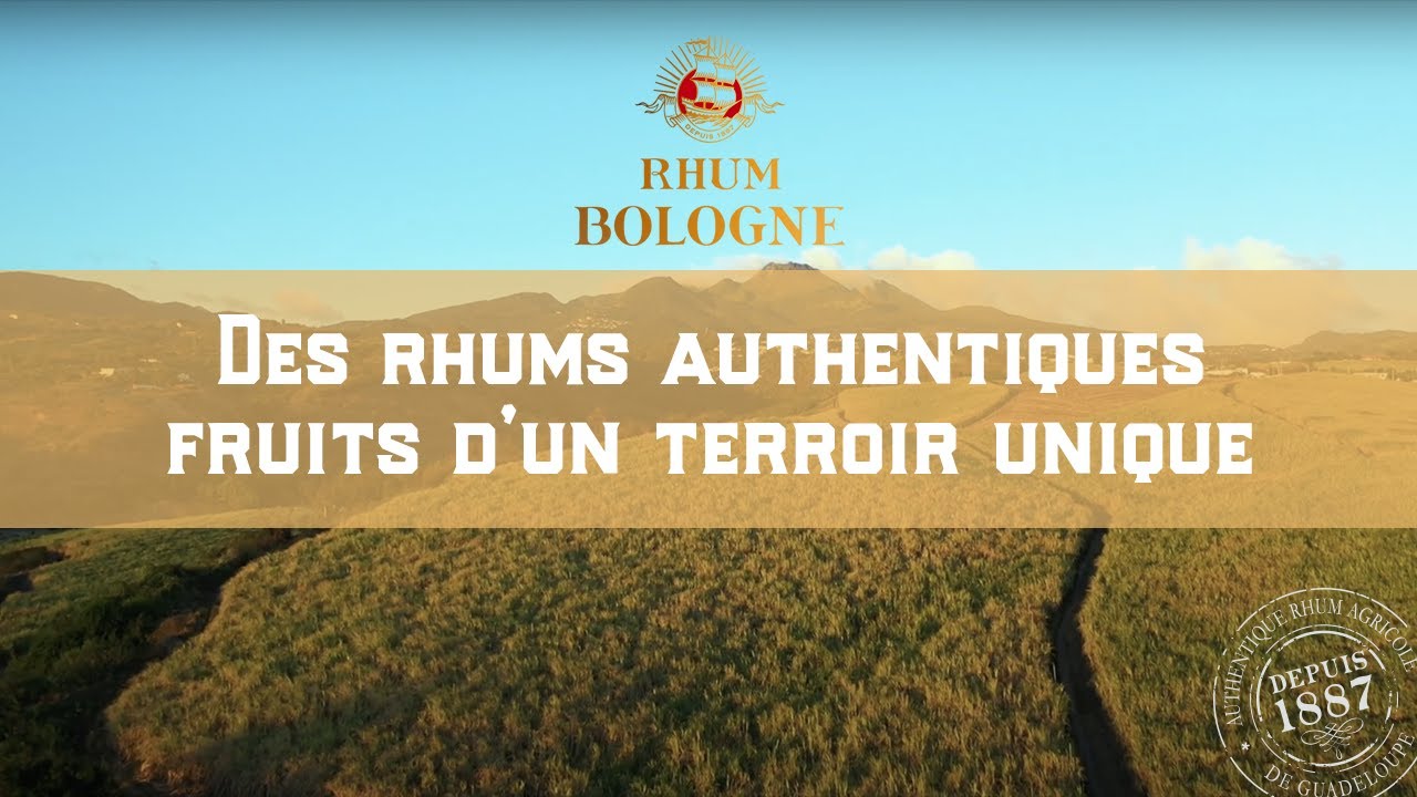 Les rhums Bologne : Des rhums authentiques, fruits d'un terroir unique.