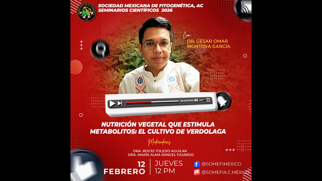 2 Seminario Virtual 2026 SOMEFI
