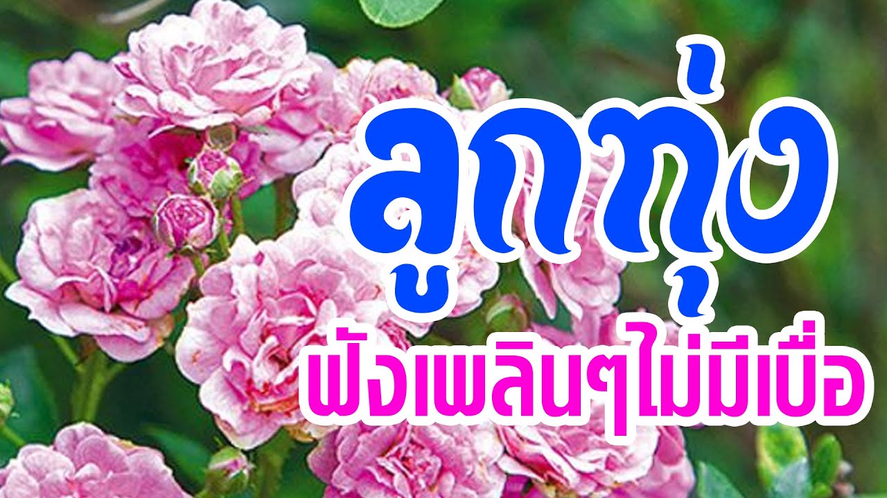 ลูกทุ่งฟังเพลินๆไม่มีเบื่อ
