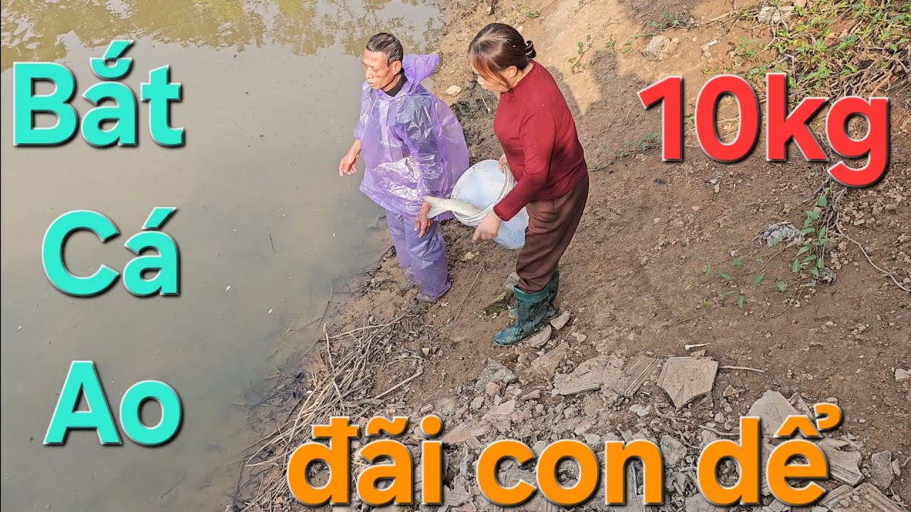 Ngày Tết Ăn Món Này Là Ngon Nhất Thôi, Cá Trắm Đen 10kg