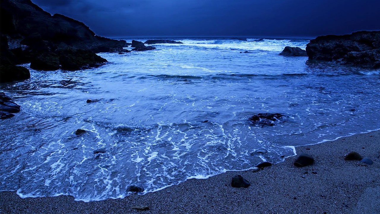 Miss Calm Beach All Night Long | Relax Right Now
