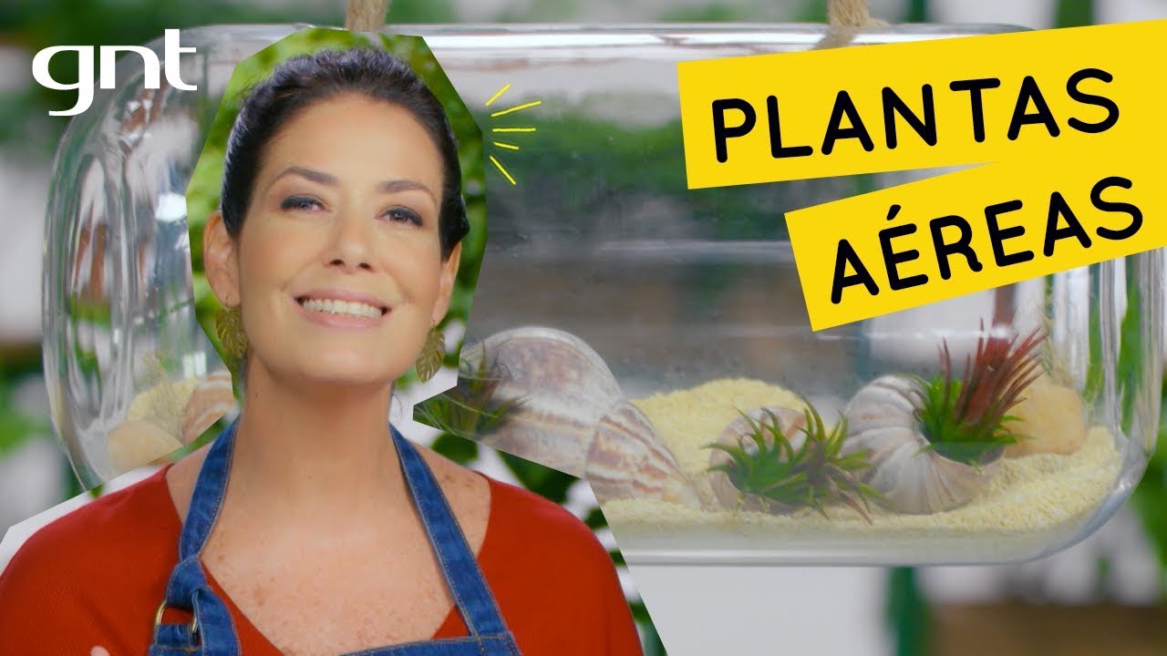 Arranjo de plantas aéreas | Jardinagem | Gabi Pileggi