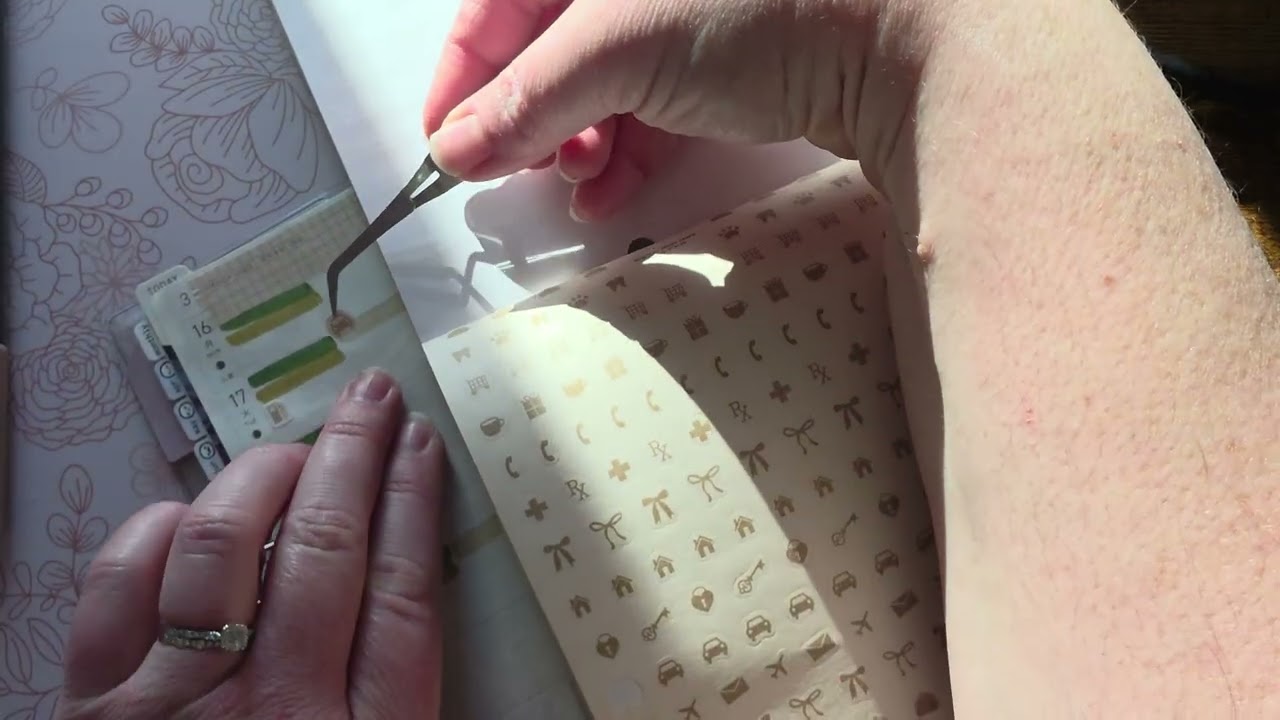 Планируйте вместе со мной - Hobonichi Weeks. Путь в порт Кумамото на рассвете - с 16 по 22 марта ...