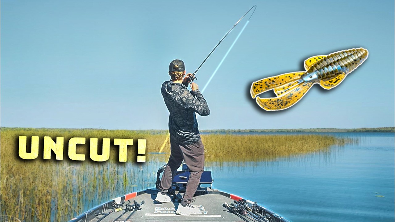 Fishing SOFT PLASTICS For Bass In GRASS! (Uncut Fall Fishing Tips)