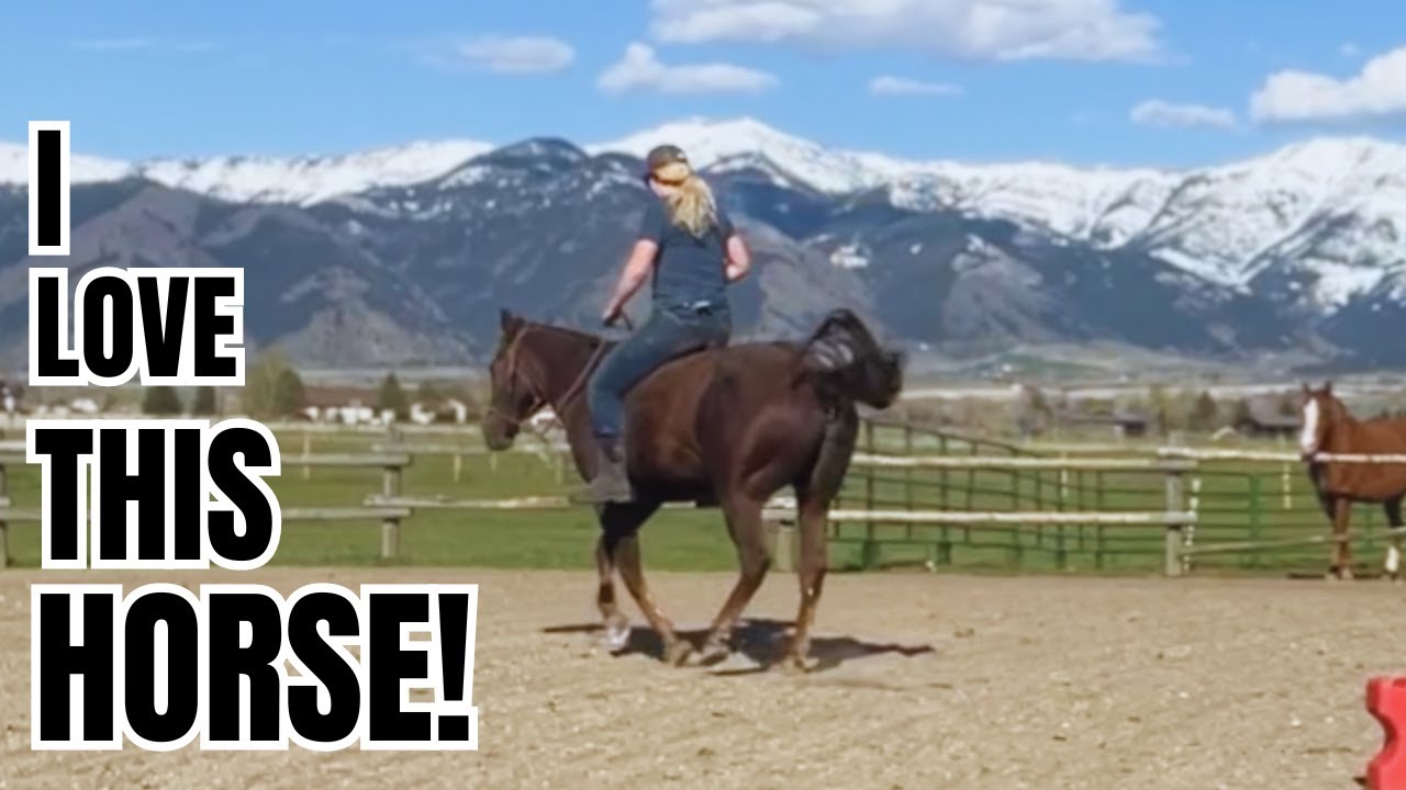 Riding my FAVORITE horse with no saddle! ❤️ Flying Lead changes too!