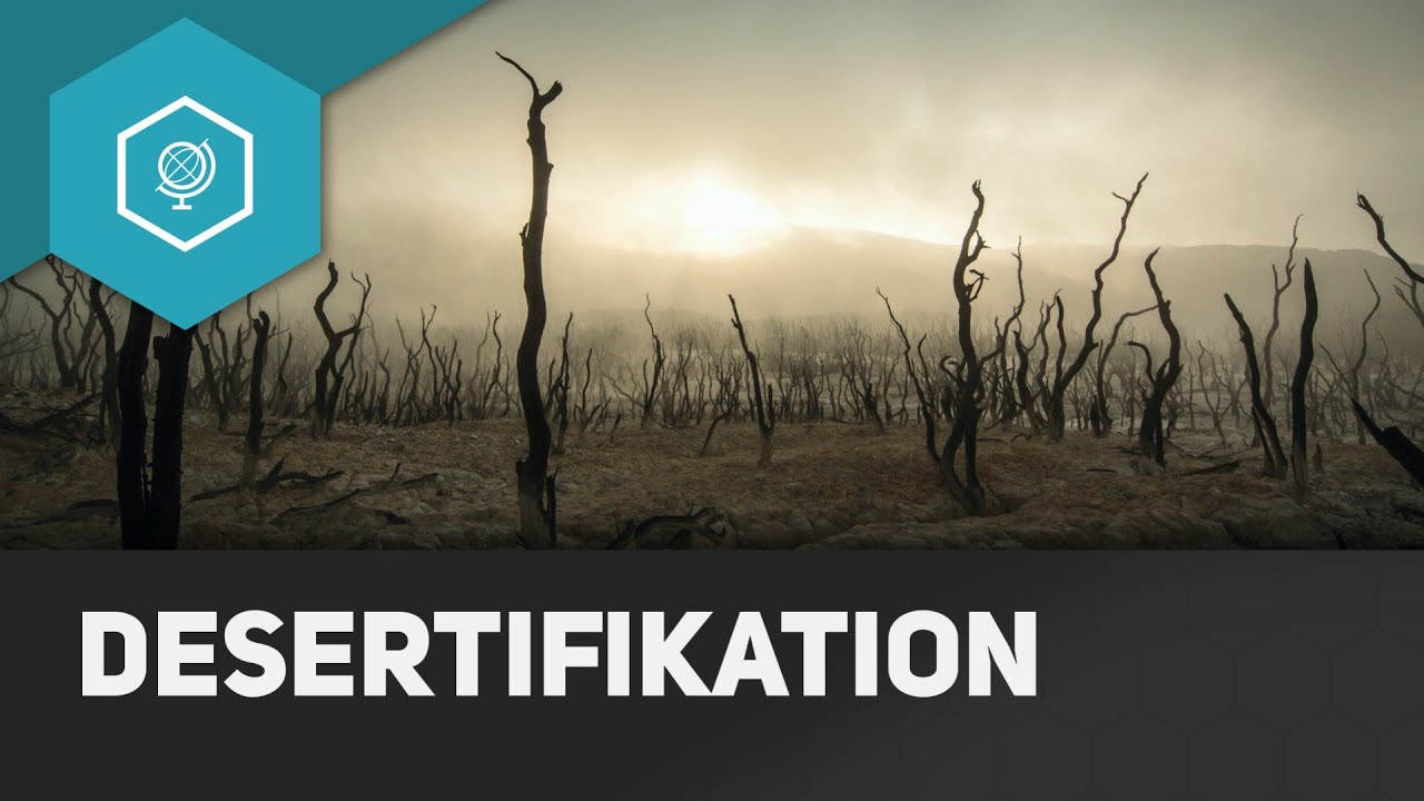 Desertifikation - Bodendegradation 3