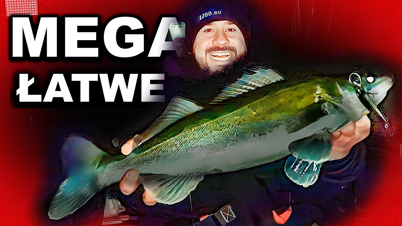 Jak Złowić Sandacza z Belly Boat? Najprostsza Metoda