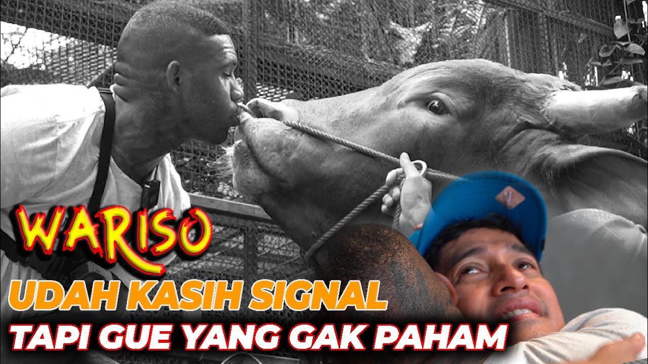 UNTUNG ADA TARZAN, JADI GUE BISA TAU INI... 😭🙏