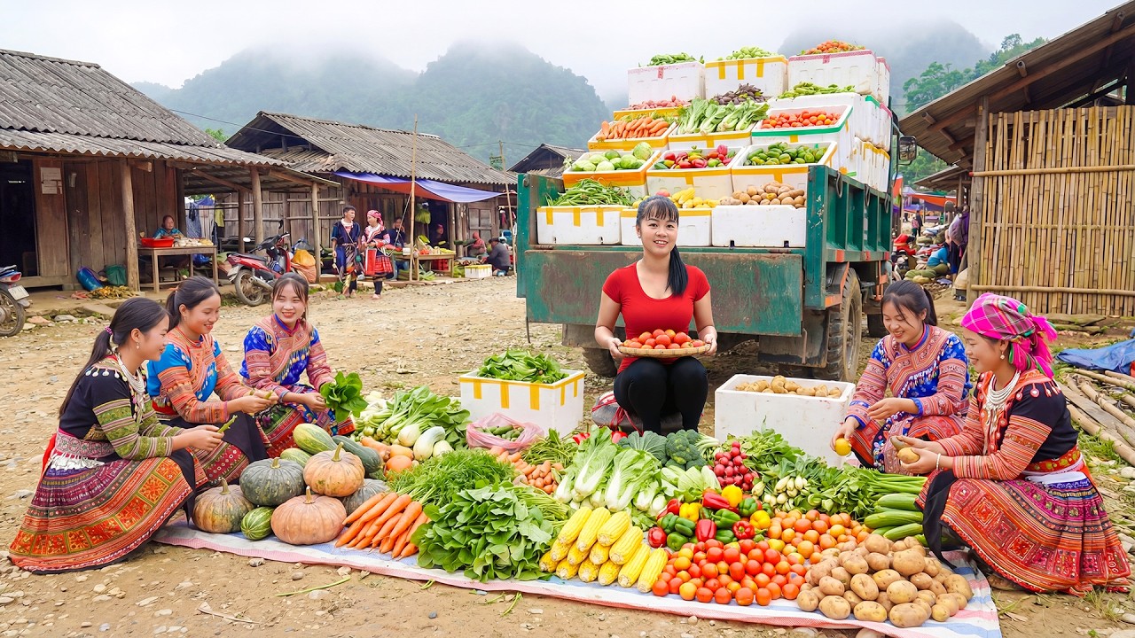 Harvesting Fresh Vegetables, Use Truck Transport Vegetables Go To Market Sell