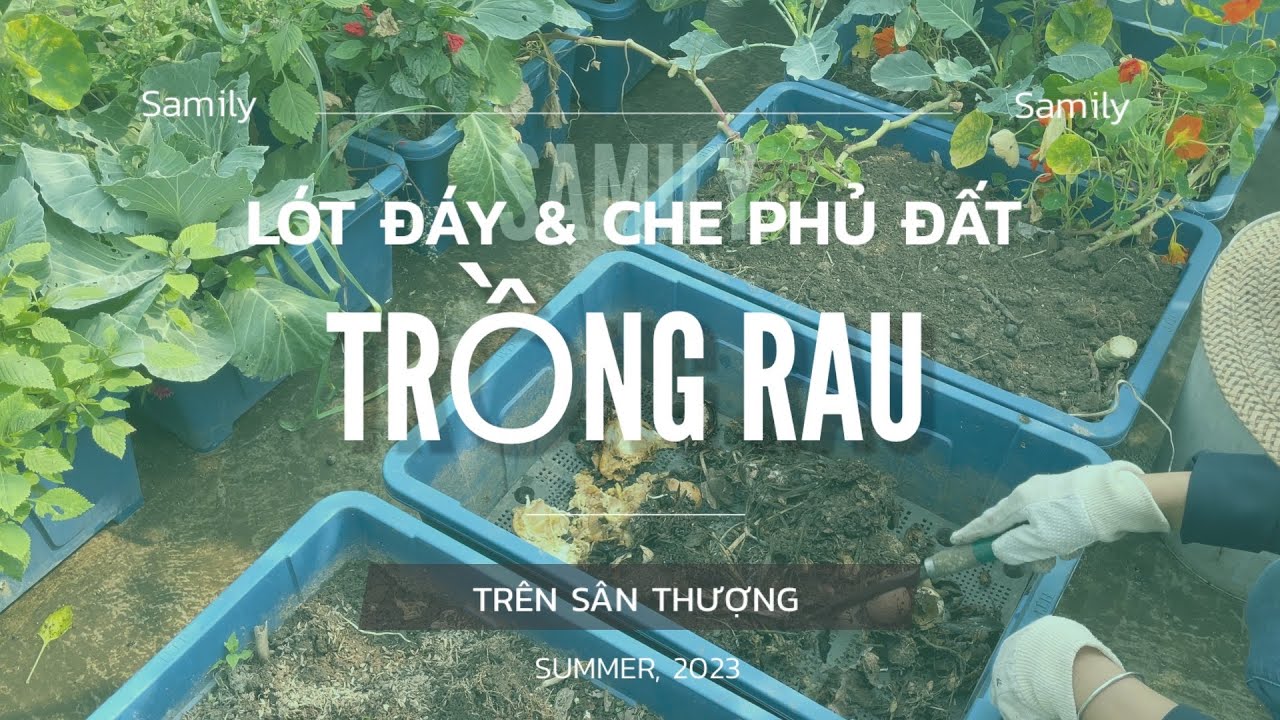075 LÓT ĐÁY & CHE PHỦ thùng đất trồng rau trên vườn sân thượng, sử dụng cây phân xanh cải tạo đất