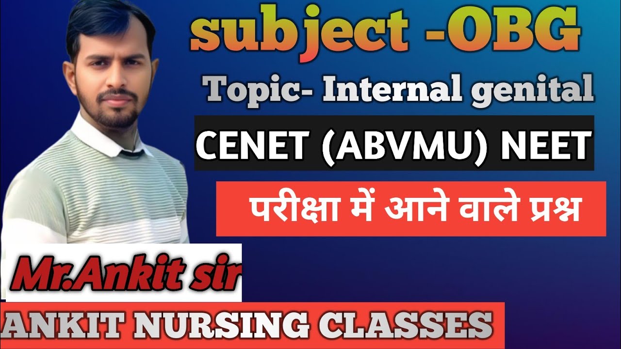 internal genitals