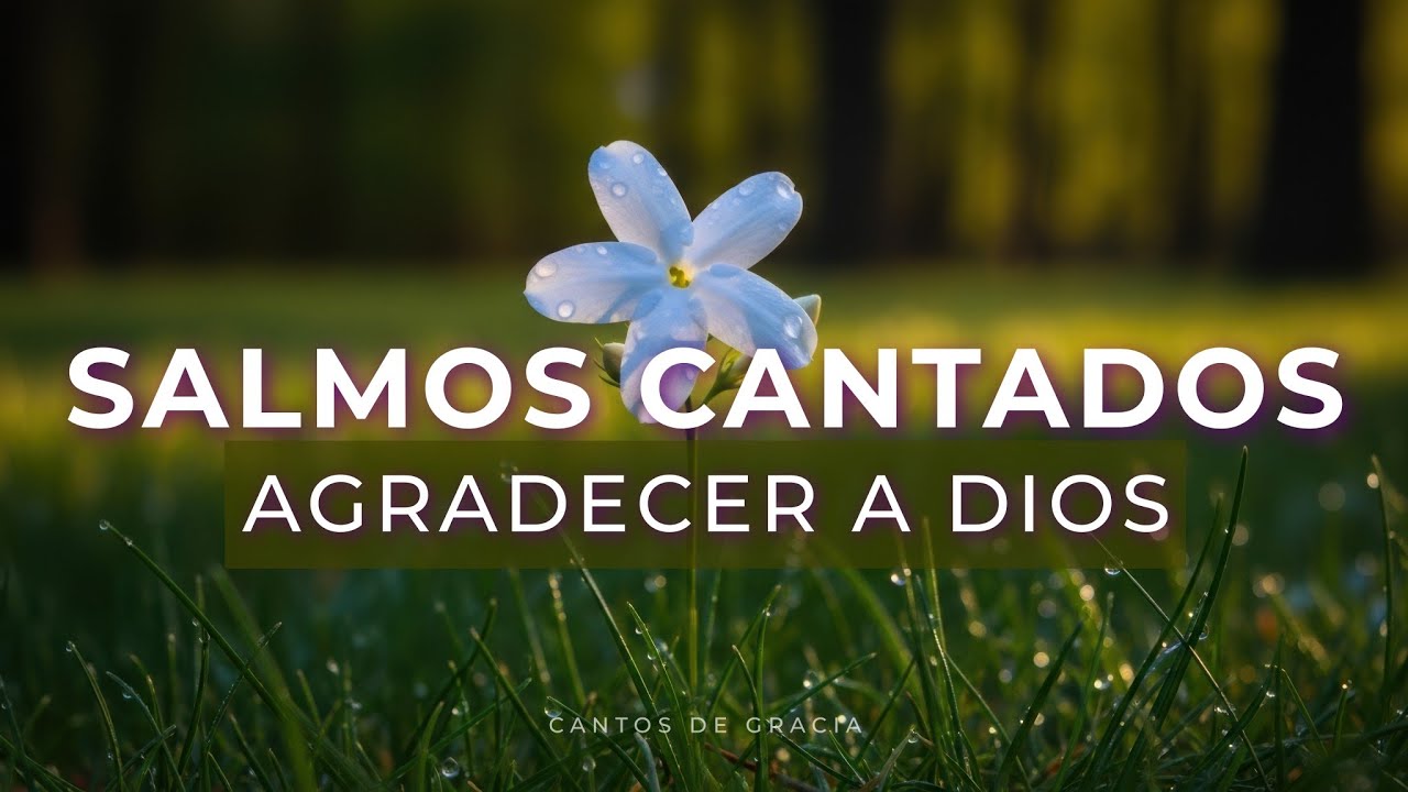 SALMOS CANTADOS para ORAR y AGRADECER en la MAÑANA - Música Cristiana