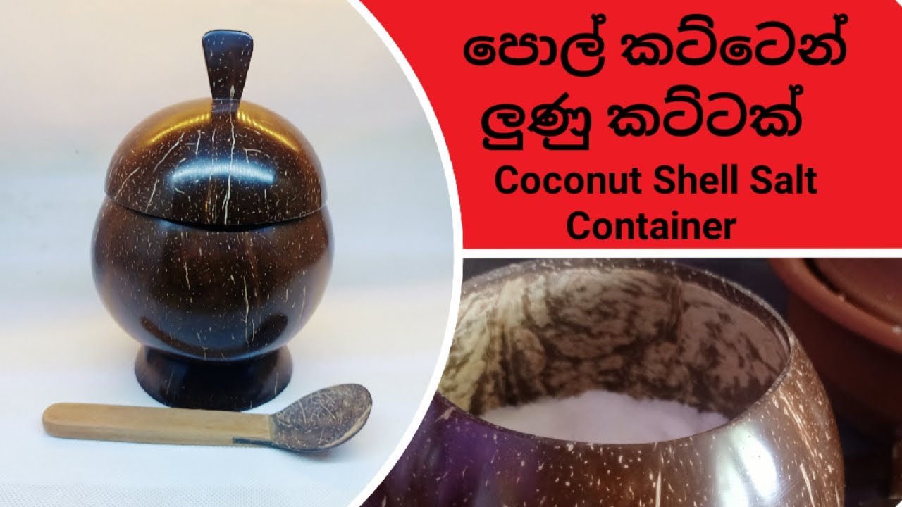 How to Make a Coconut hell Salt Container (DIY Craft)#coconutshell #handmade #handycraftcraft