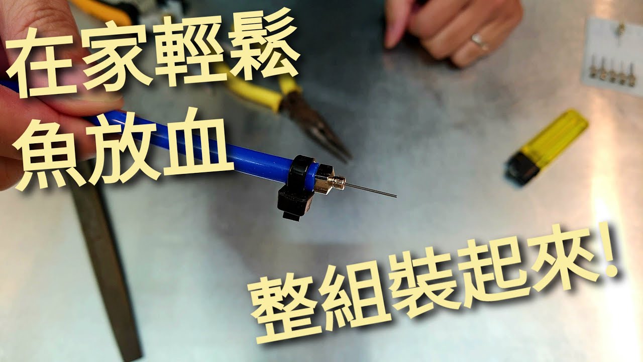 [生魚片技研] 如何簡單自製魚放血器材？ | 讓你在家快速、乾淨、有效的給魚放血。