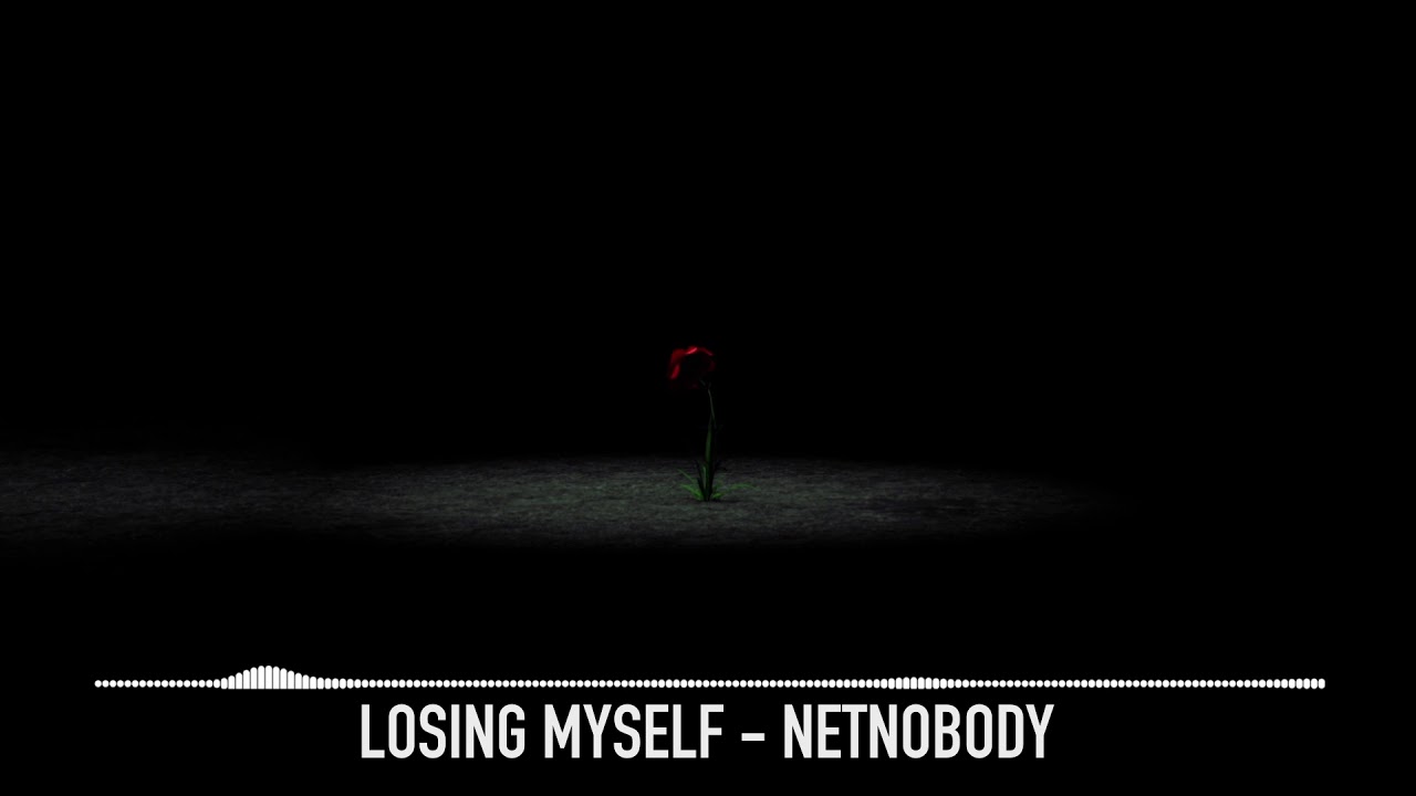 NetNobody 