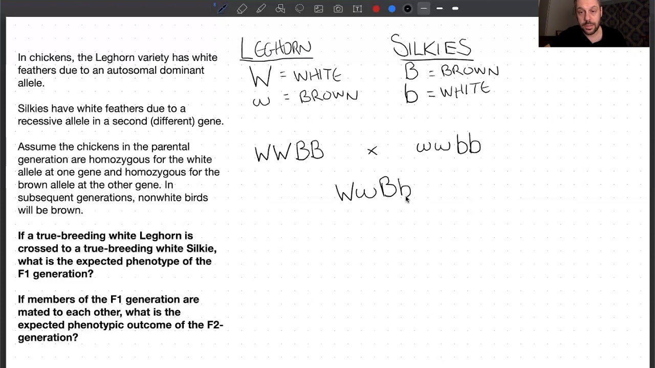 Solving epistasis problems