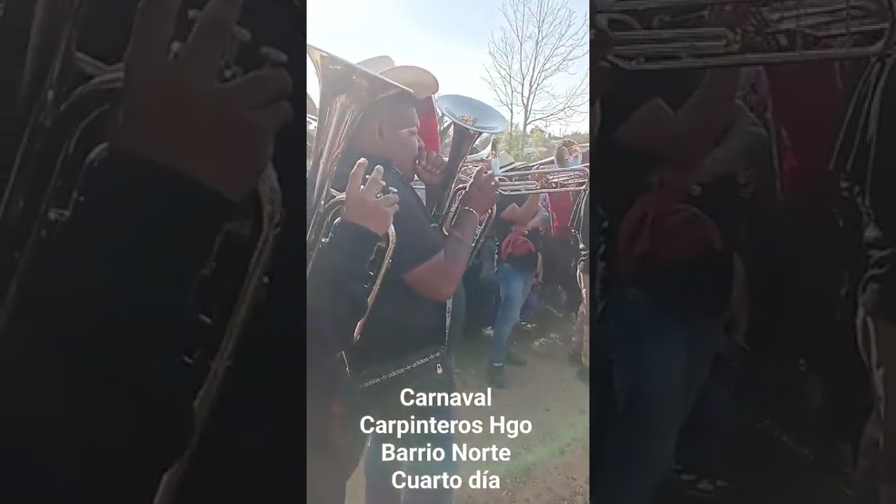 Carnaval Carpinteros Hgo 