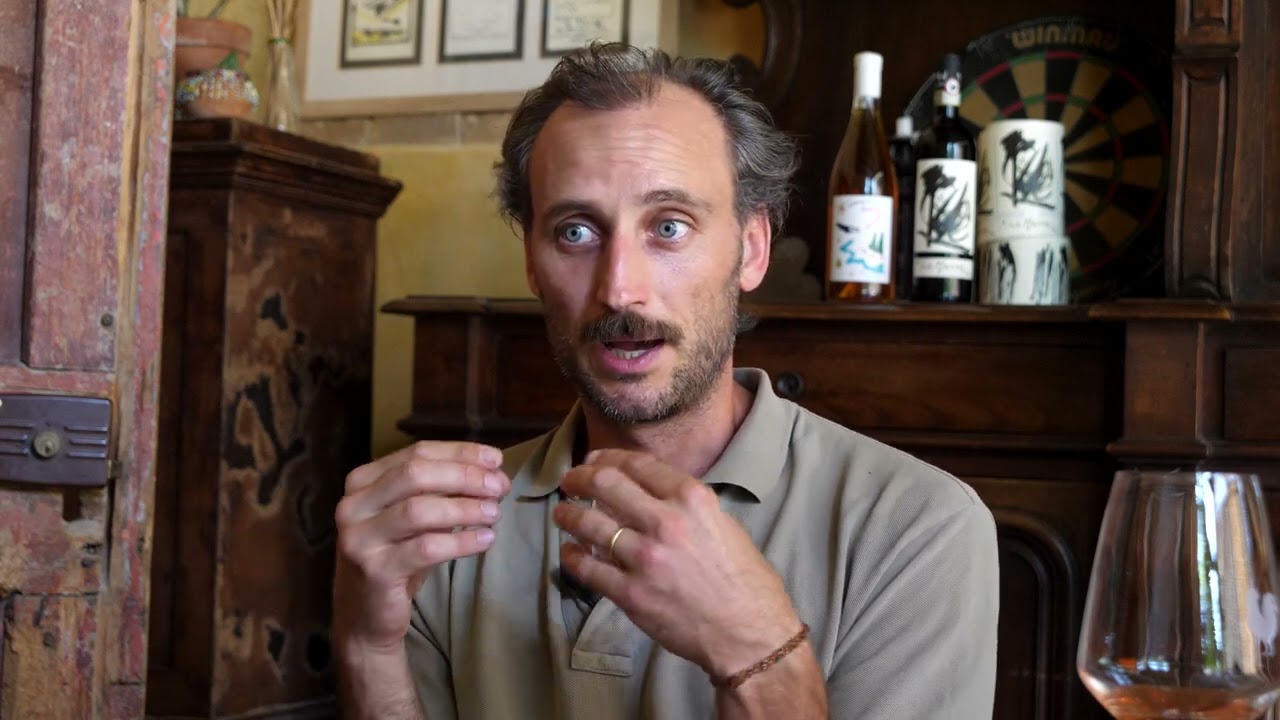 Terra Vino e Mito. L'Anfora oggi.