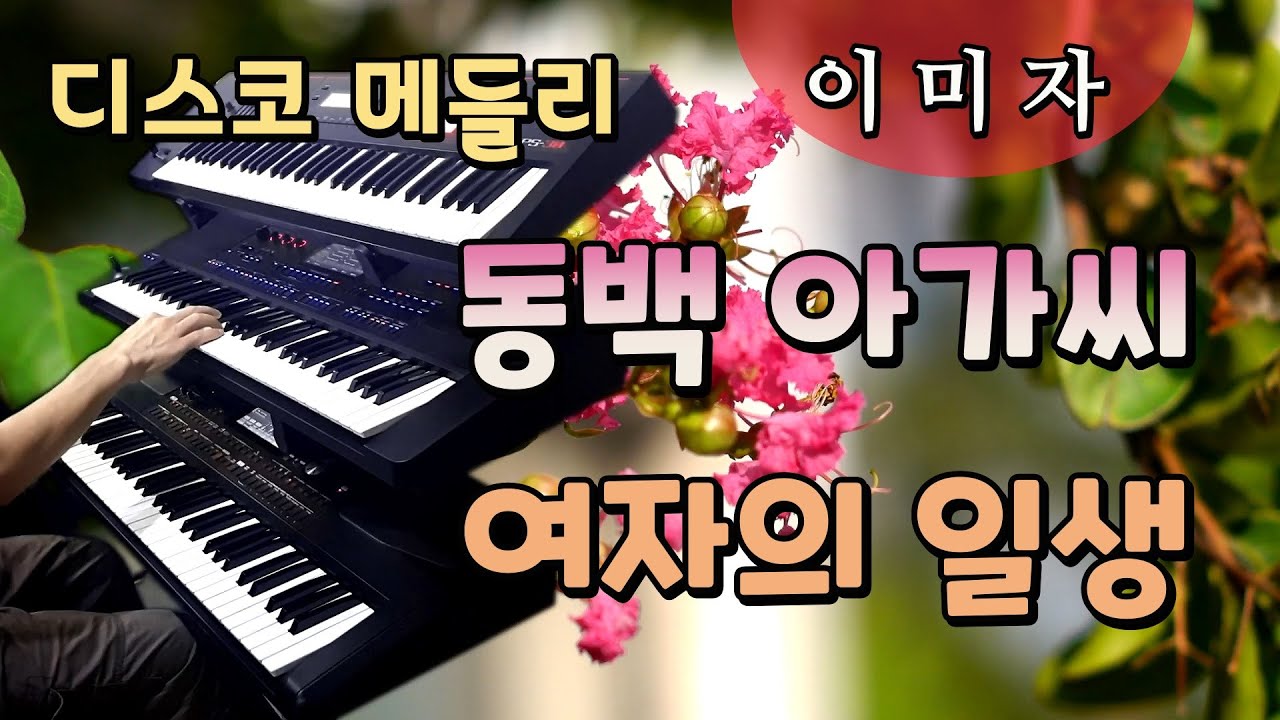 동백 아가씨, 여자의 일생 - 이미자 /전자올겐 디스코 메들리/흘러간옛노래/대중가요/Korean old pop/Korean Trot Disco