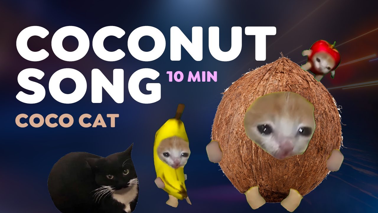 COCONUT SONG - COCO CAT 🥥🍌🐱 (10 MIN) #coconutsong #bananacat