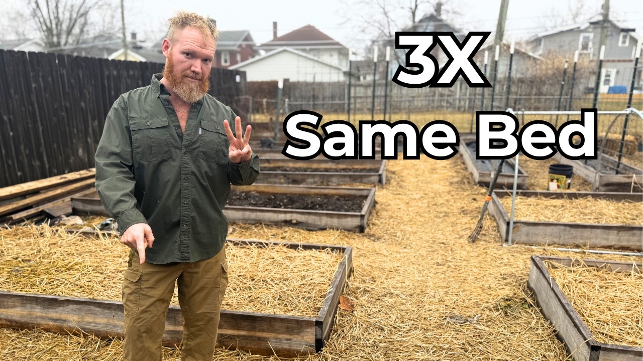 How I 3X My Harvest From the Same Garden Bed