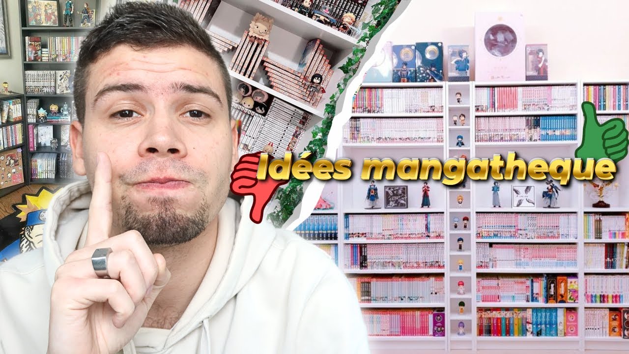 LES MEILLEURS IDÉES MANGATHEQUE #2 ( peut-être les pires finalement...)
