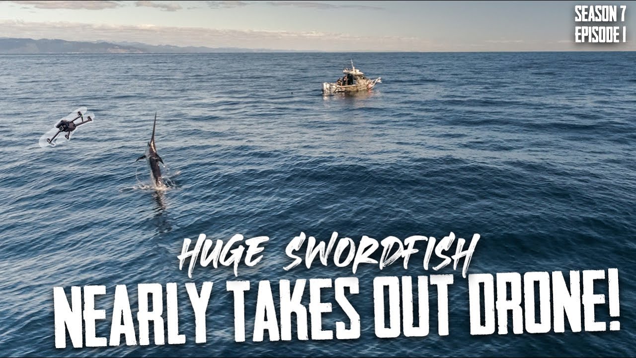 BIGGEST fish we've ever caught! S7 EP1 - Waihau Bay