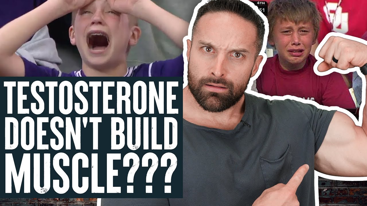 Testosterone doesn't build muscle???