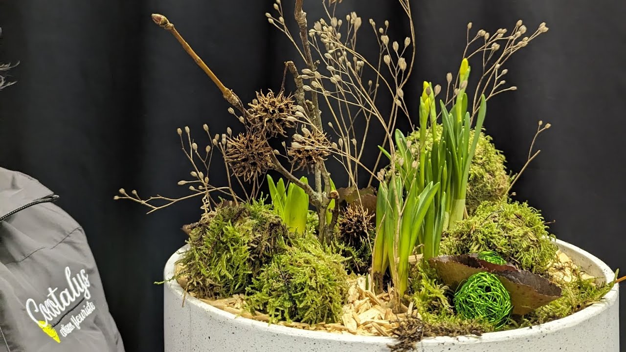 L'atelier d'art floral de Janvier, le jardin de bulbes.