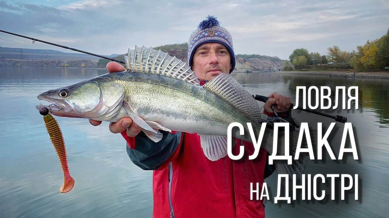 Судак розриває цю приманку. Ловля судака на Дністрі