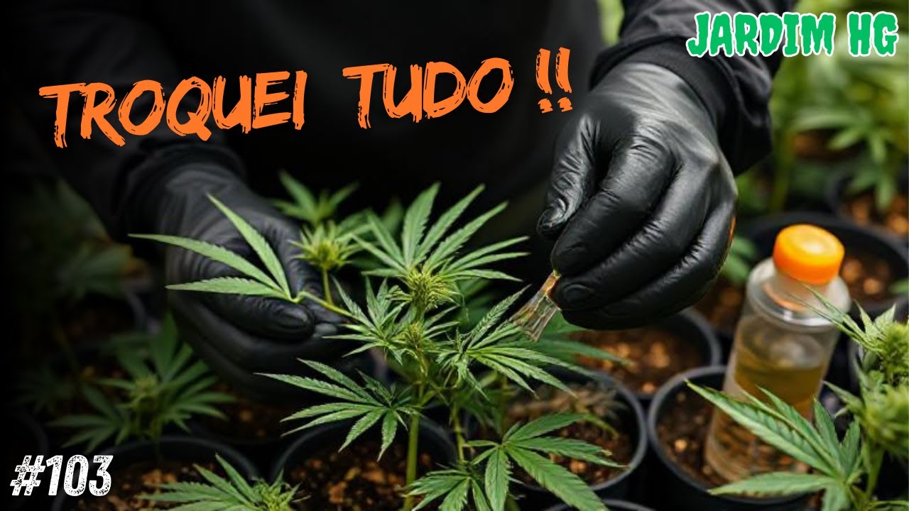 Por que Troquei o Substrato Inerte por Org&acirc;nico no Cultivo de Cannabis?
