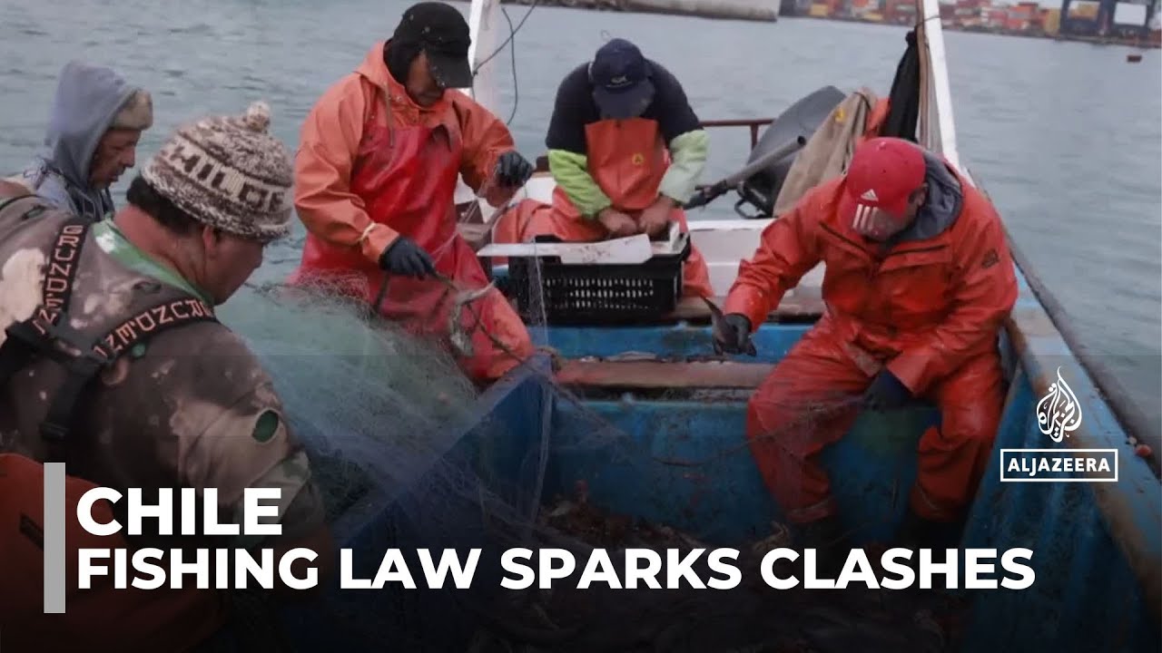 Fishermen seeking a lifeline: Chile's small operators call for higher quotas