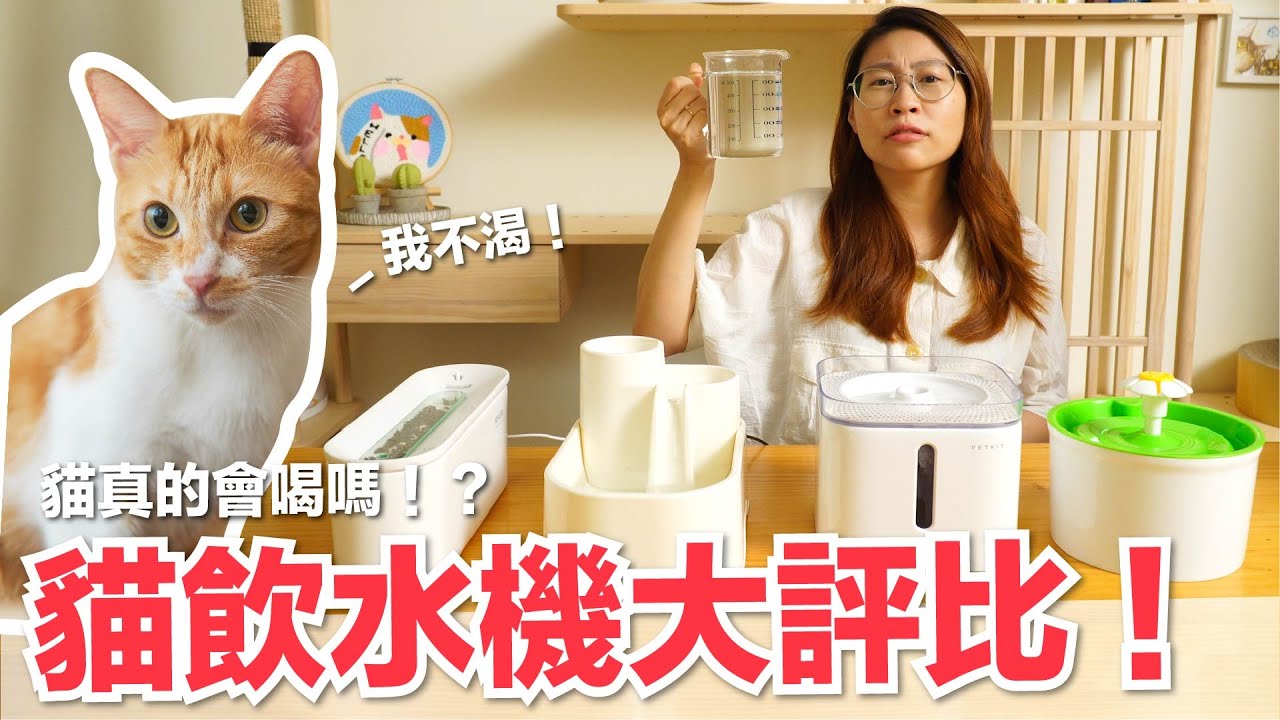 【好味小姐】市售貓飲水機大評比！貓咪真的會多喝水嗎？