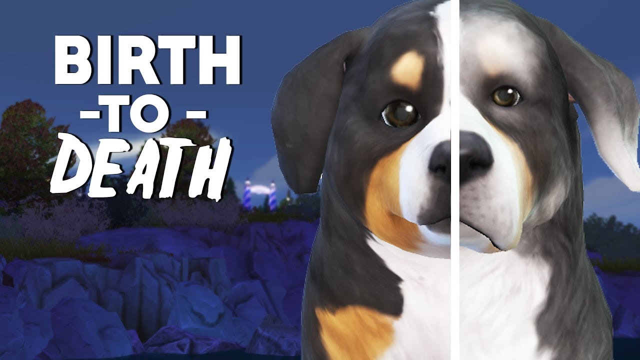 BIRTH TO DEATH (DOG EDITION) // The Sims 4