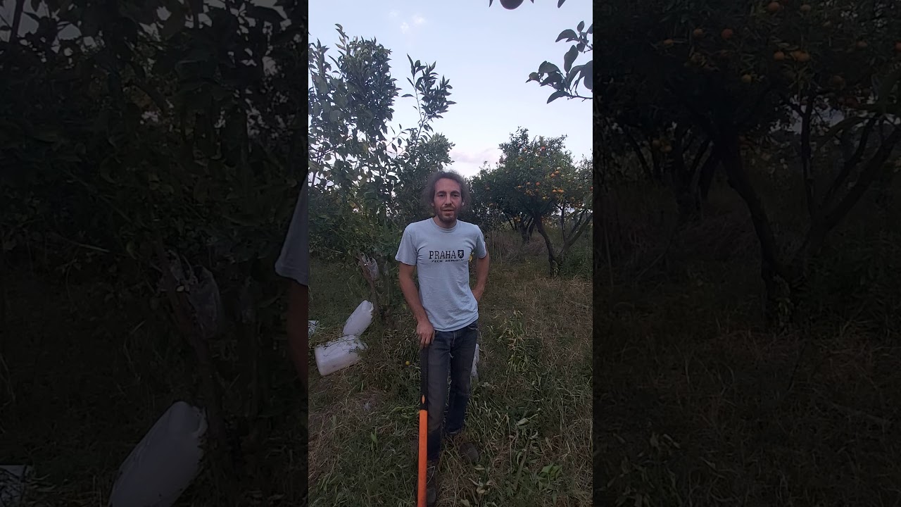 Sperimentazioni in aridocoltura