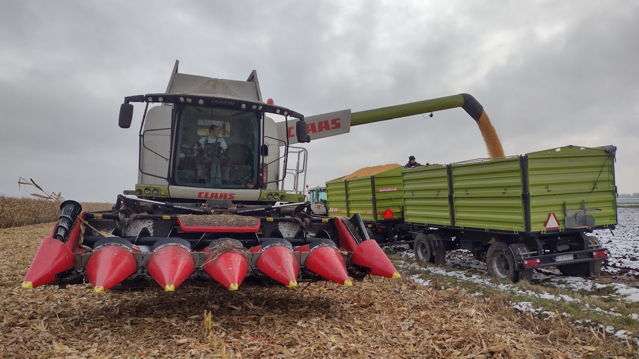 Kukurydza 2020 Przejazd do pola - Claas Lexion 650 ☆GR Jakimowicz☆ CzesterVlog #4