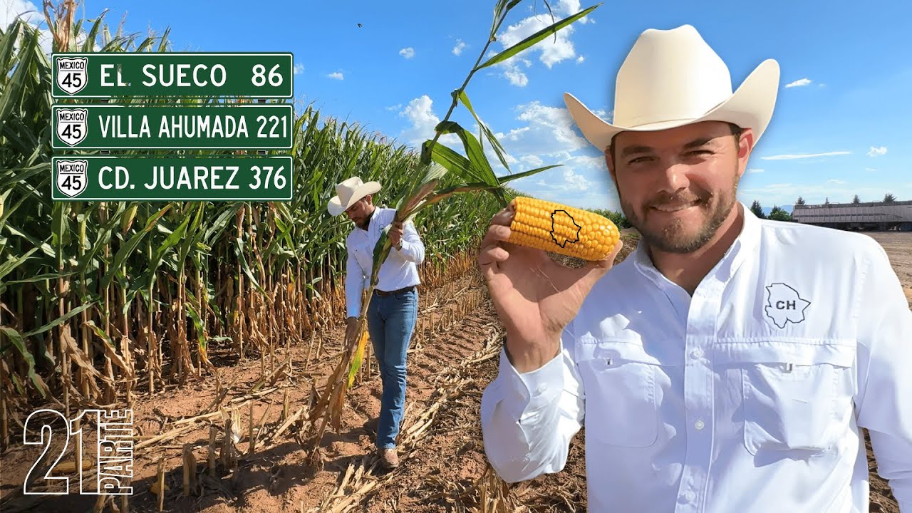 En Miguel Ahumada, Chihuahua se producen casi 70, 000 Kg de Frijol