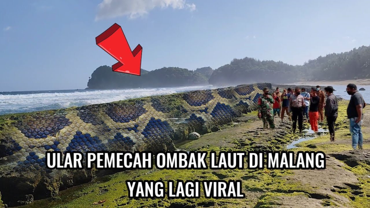 kejadian di malang yang lagi viral‼️ular pemecah ombak laut sangat besar