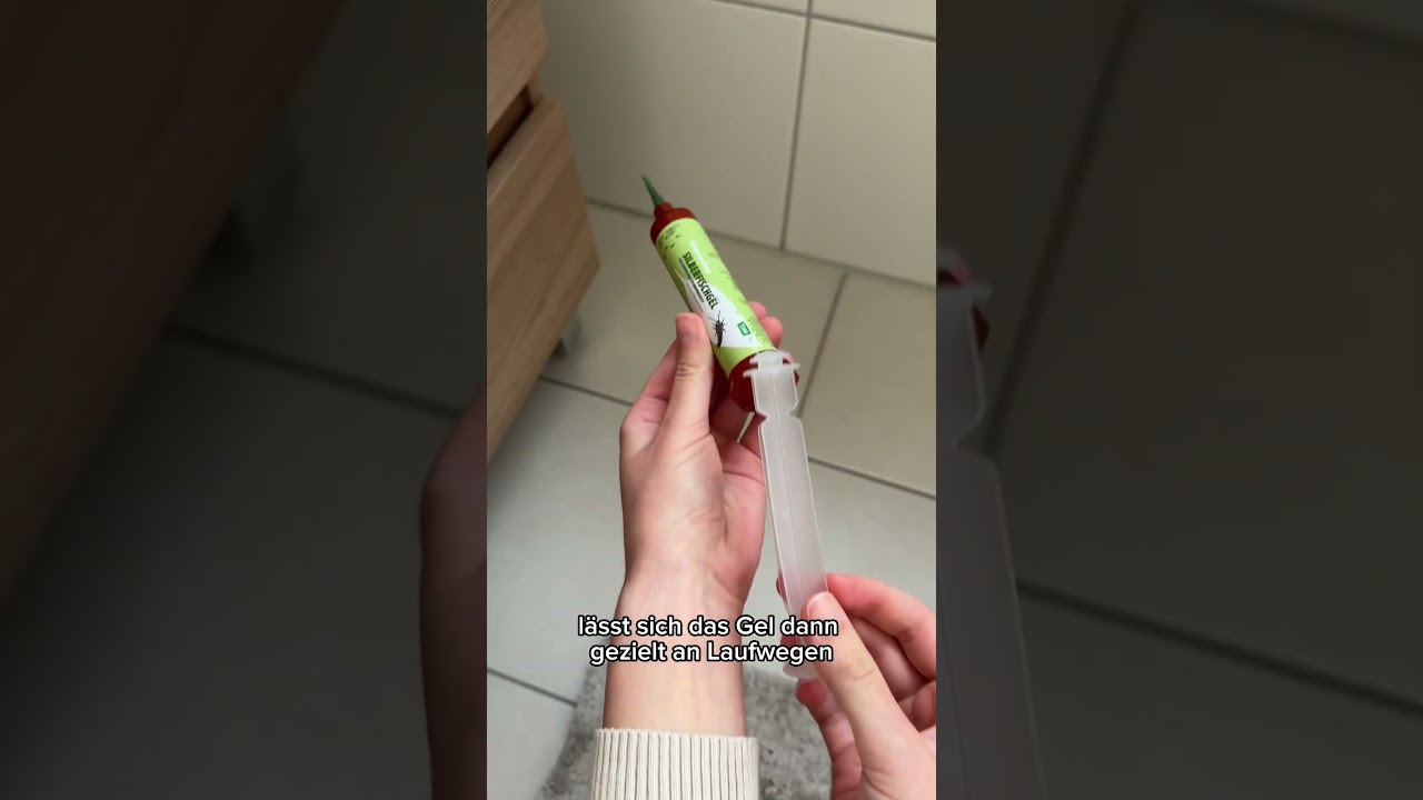 Silberfische erfolgreich bek&auml;mpfen ✔️