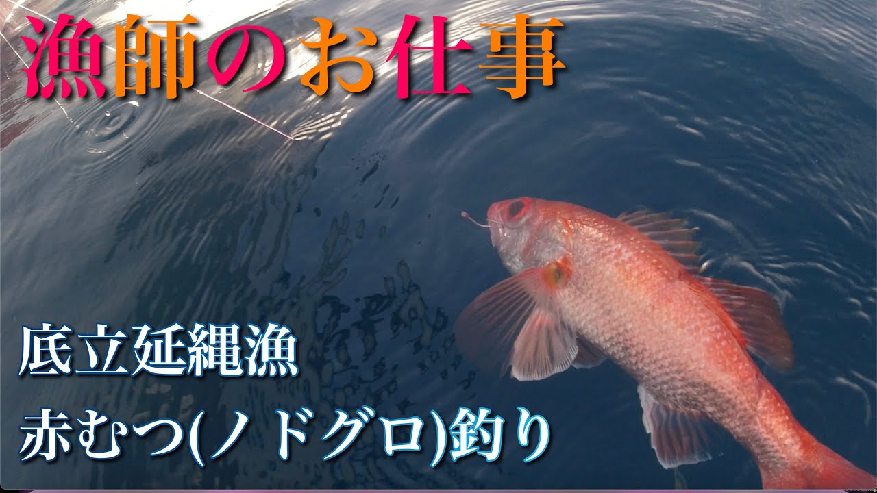 [漁師のお仕事]漁師の社会見学！今年も底立延縄漁を見てきた。
