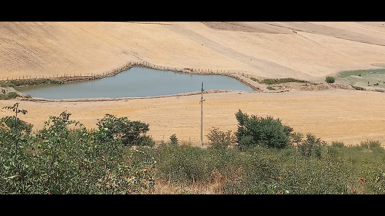 #Cəlilabad rayonu Ağdaş bələdiyyəsinin sədri #icra başçısına belə #müraciət etdi