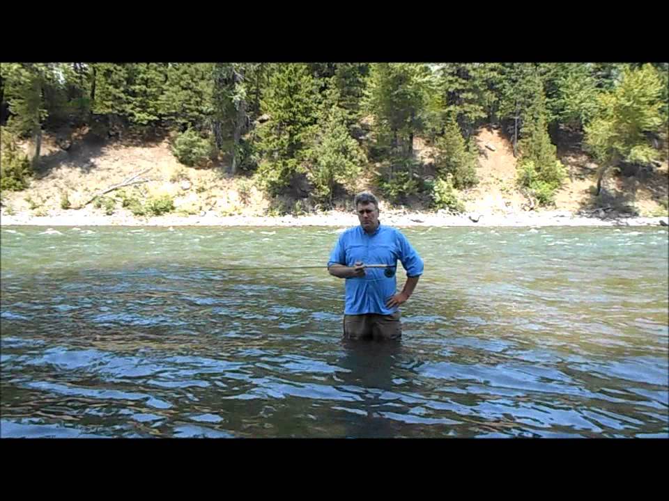 A Review of the Sage Accel Fly Rod