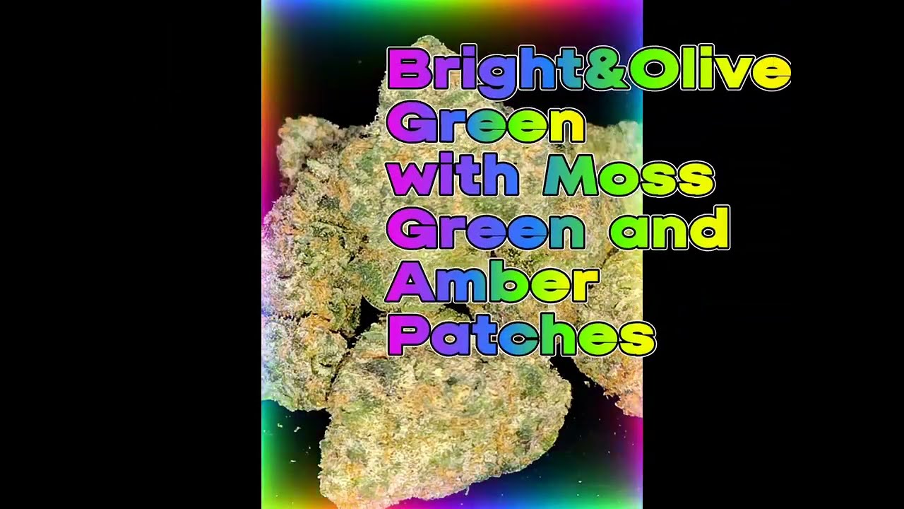 SuperBoof ( 50/50 H) Strain Review-Budpedia