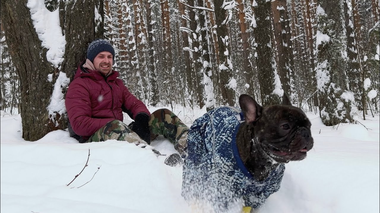 Egor the French Bulldog Has Chewed Every Tree in This Forest!