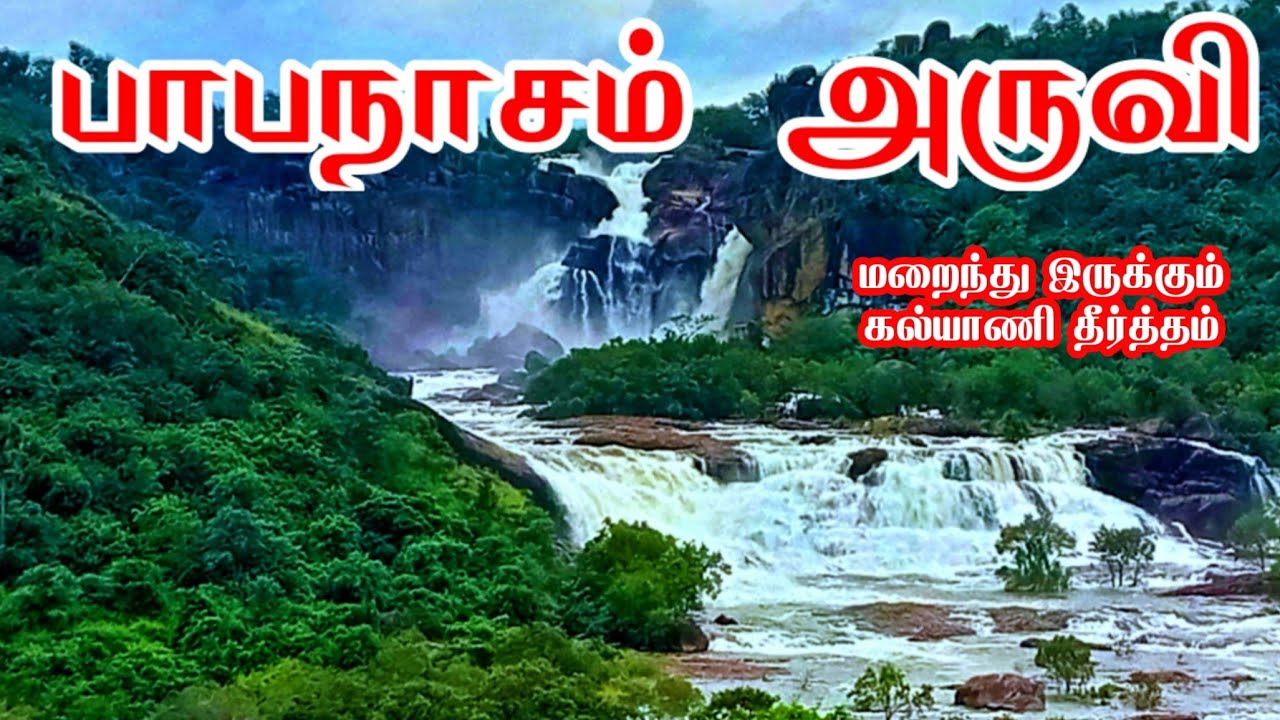 பாபநாசம் அகஸ்தியர் அருவி | மறைந்து இருக்கும் கல்யாணி தீர்த்தம் | Papanasam Agasthiyar Falls