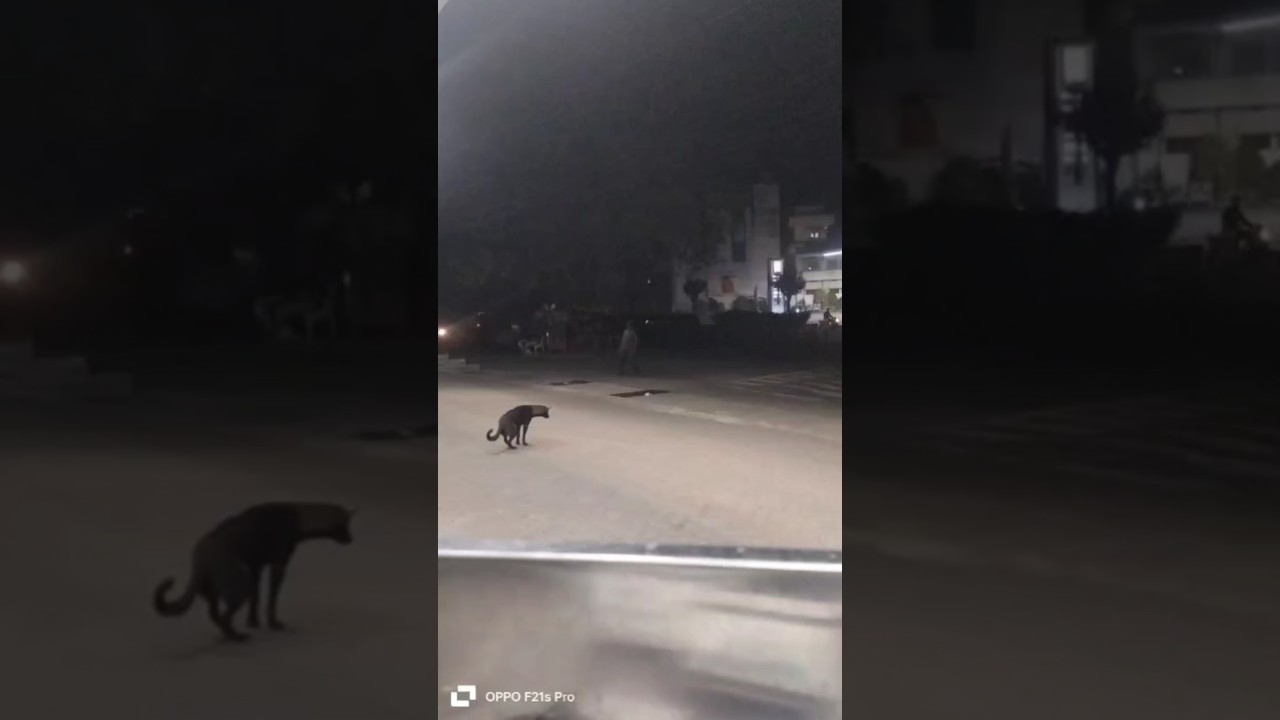 Funny dance uncle 😁😅