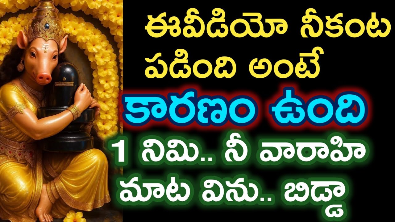అమ్మ వాక్కు ని కంటపడింది అంటే కారణం ఉంది వారహి అనుగ్ర్రహం ఉంది |varahi blessings @Pavithratalks